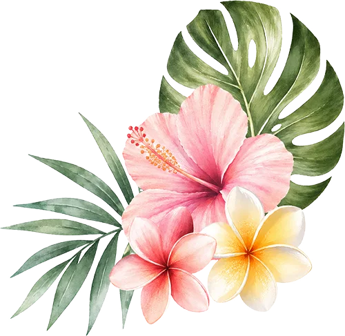 summer flower