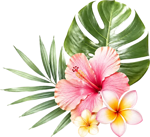 summer flower